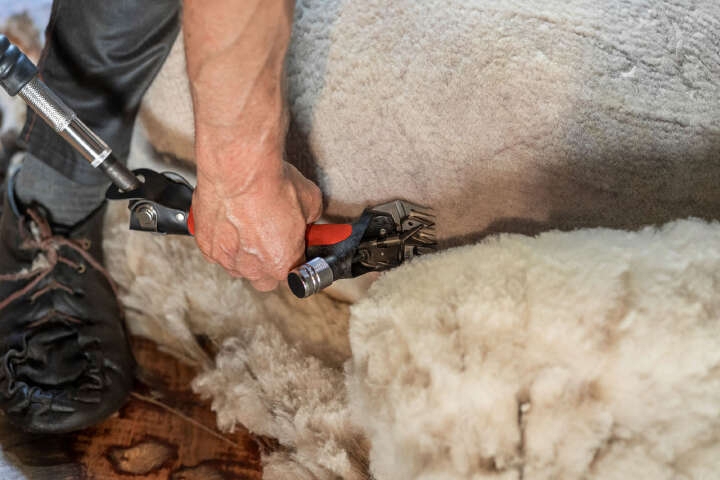 KERBL Wellington Schafschuranlage Worm-Drive